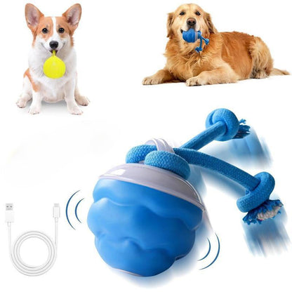 Motion-Activated Dog Toy | Interactive Rolling Ball for Cats and Dogs