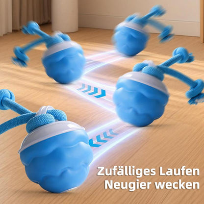 Motion-Activated Dog Toy | Interactive Rolling Ball for Cats and Dogs