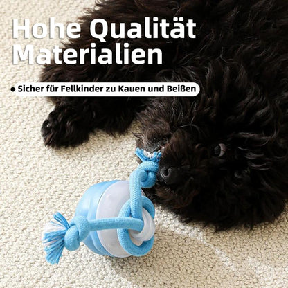 Motion-Activated Dog Toy | Interactive Rolling Ball for Cats and Dogs