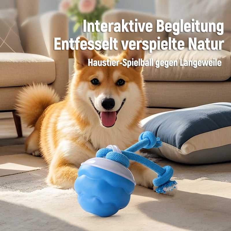 Motion-Activated Dog Toy | Interactive Rolling Ball for Cats and Dogs