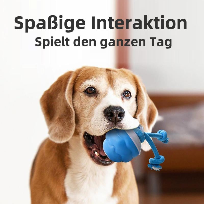 Motion-Activated Dog Toy | Interactive Rolling Ball for Cats and Dogs