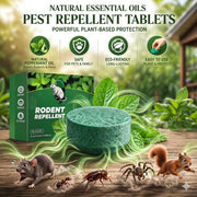 BUY 3 SAVE 12%