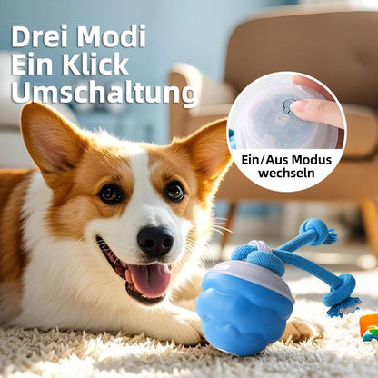 Motion-Activated Dog Toy | Interactive Rolling Ball for Cats and Dogs