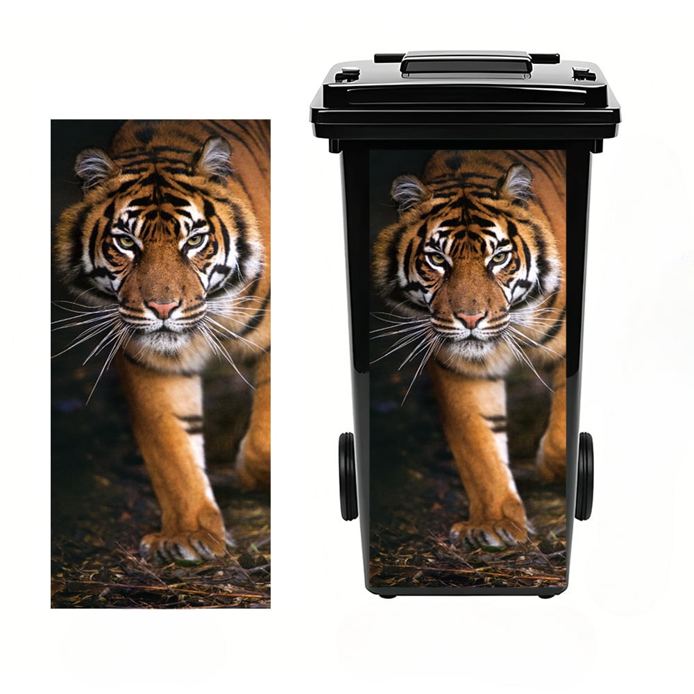 🐅 Tiger