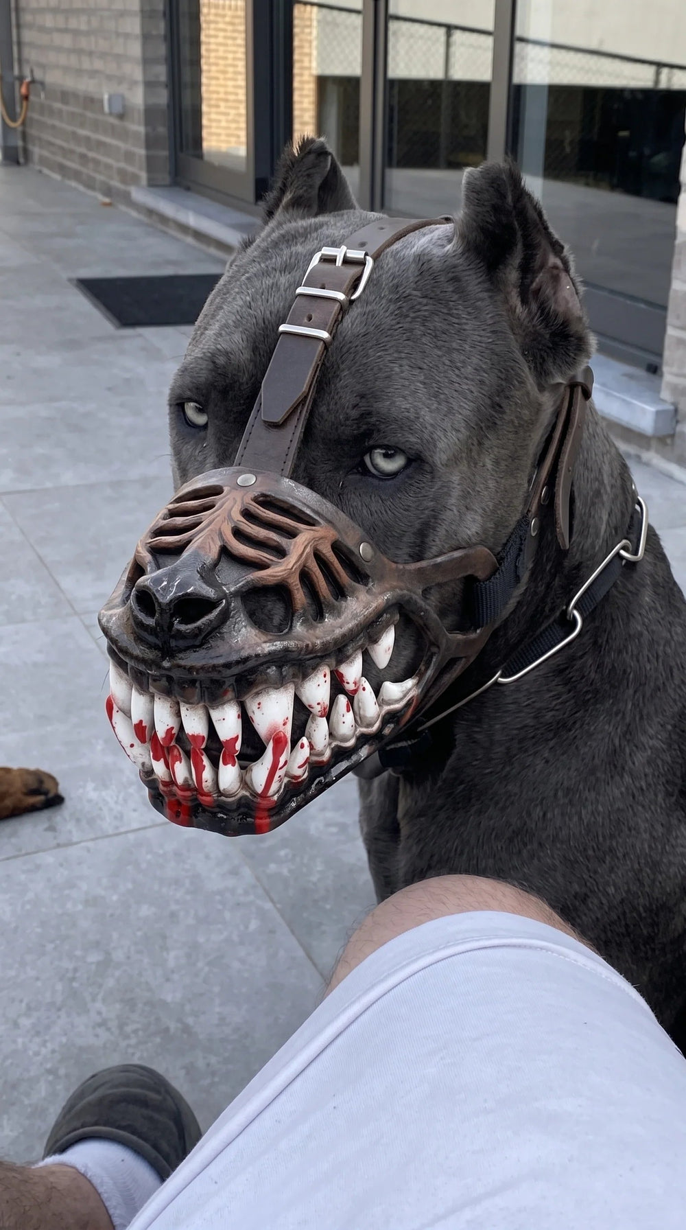 🎃 EARLY HALLOWEEN 50% OFF🔥🐶Hell Hound Monster Muzzle specifications