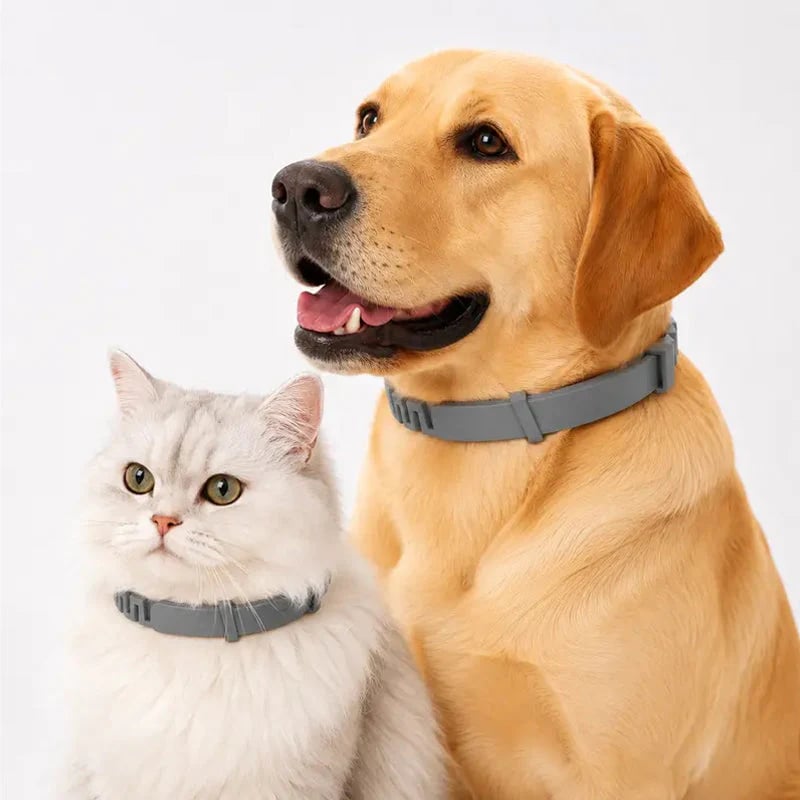 Adjustable Flea & Tick Collars for Dogs & Cats product quality view