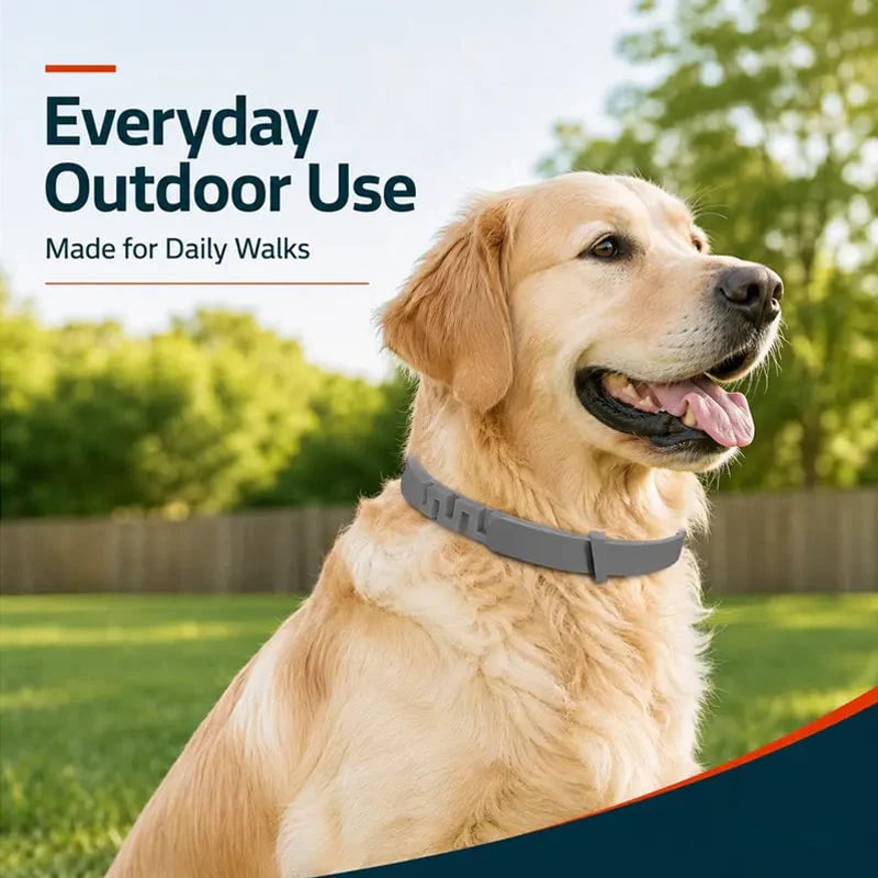 Adjustable Flea & Tick Collars for Dogs & Cats in use