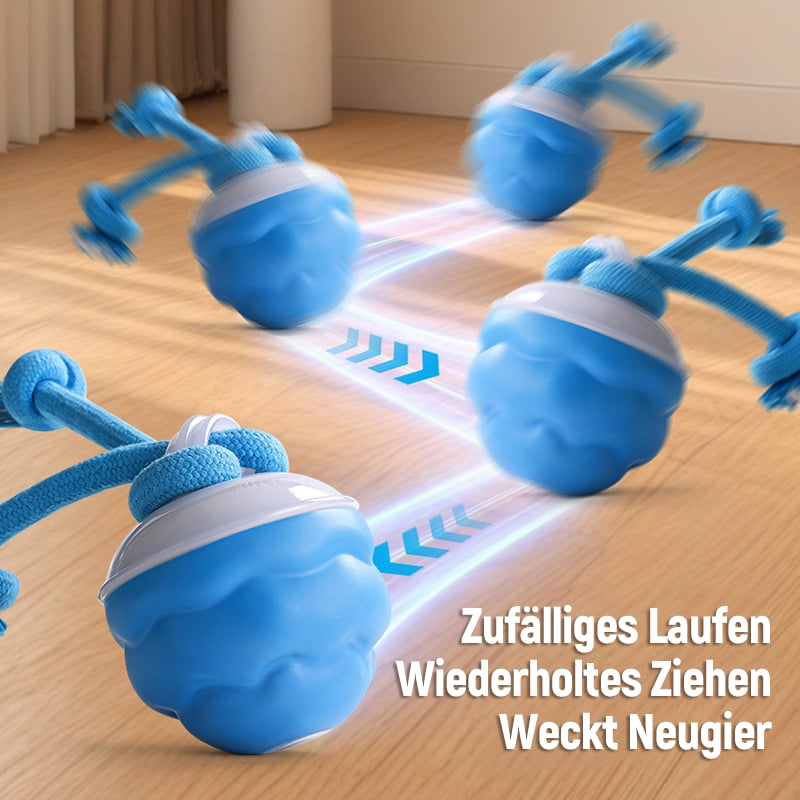 Motion-Activated Dog Toy | Interactive Rolling Ball for Cats and Dogs