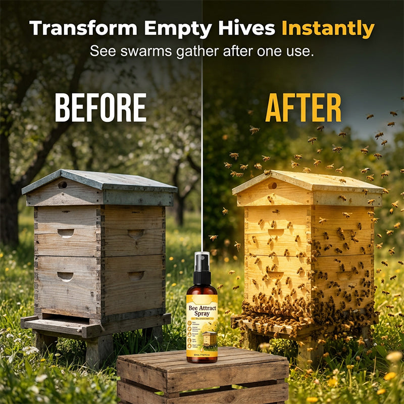 🐝Summer Limited-Time 50% OFF🐝Natural Outdoor Bee Attractant Spray learning activity
