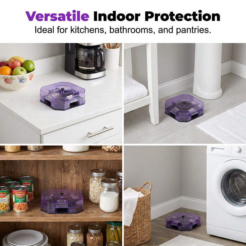 Reusable Effective Roach Trap product structure